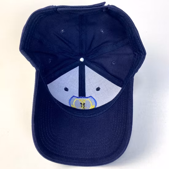 Nuevo sombrero promocional púrpura simple del Snapback del ocio del deporte