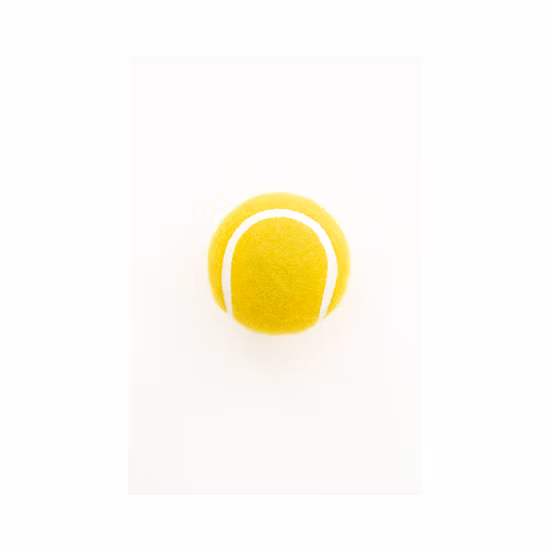 Pelota de tenis de juguete promocional para buscar mascotas